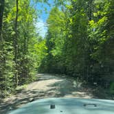 Review photo of Ossineke State Forest Campground by Brian N., June 18, 2021