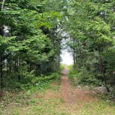 Review photo of Ossineke State Forest Campground by Brian N., June 18, 2021