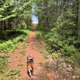 Review photo of Ossineke State Forest Campground by Brian N., June 18, 2021