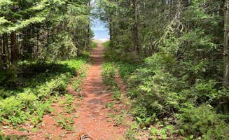 Brian N.'s photo of camping with pets at Ossineke State Forest Campground near Curran, MI