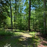 Review photo of Cedarville State Forest by Laure D., June 18, 2021