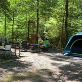 Review photo of Cedarville State Forest by Laure D., June 18, 2021