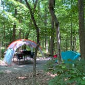 Review photo of Cedarville State Forest by Laure D., June 18, 2021