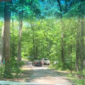 Review photo of Cedarville State Forest by Laure D., June 18, 2021