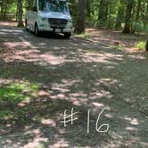 Review photo of Cedarville State Forest by Laure D., June 18, 2021