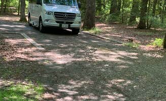 Laure D.'s photo of rv camping at Cedarville State Forest near Callaway, MD