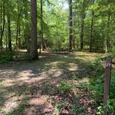 Review photo of Cedarville State Forest by Laure D., June 18, 2021