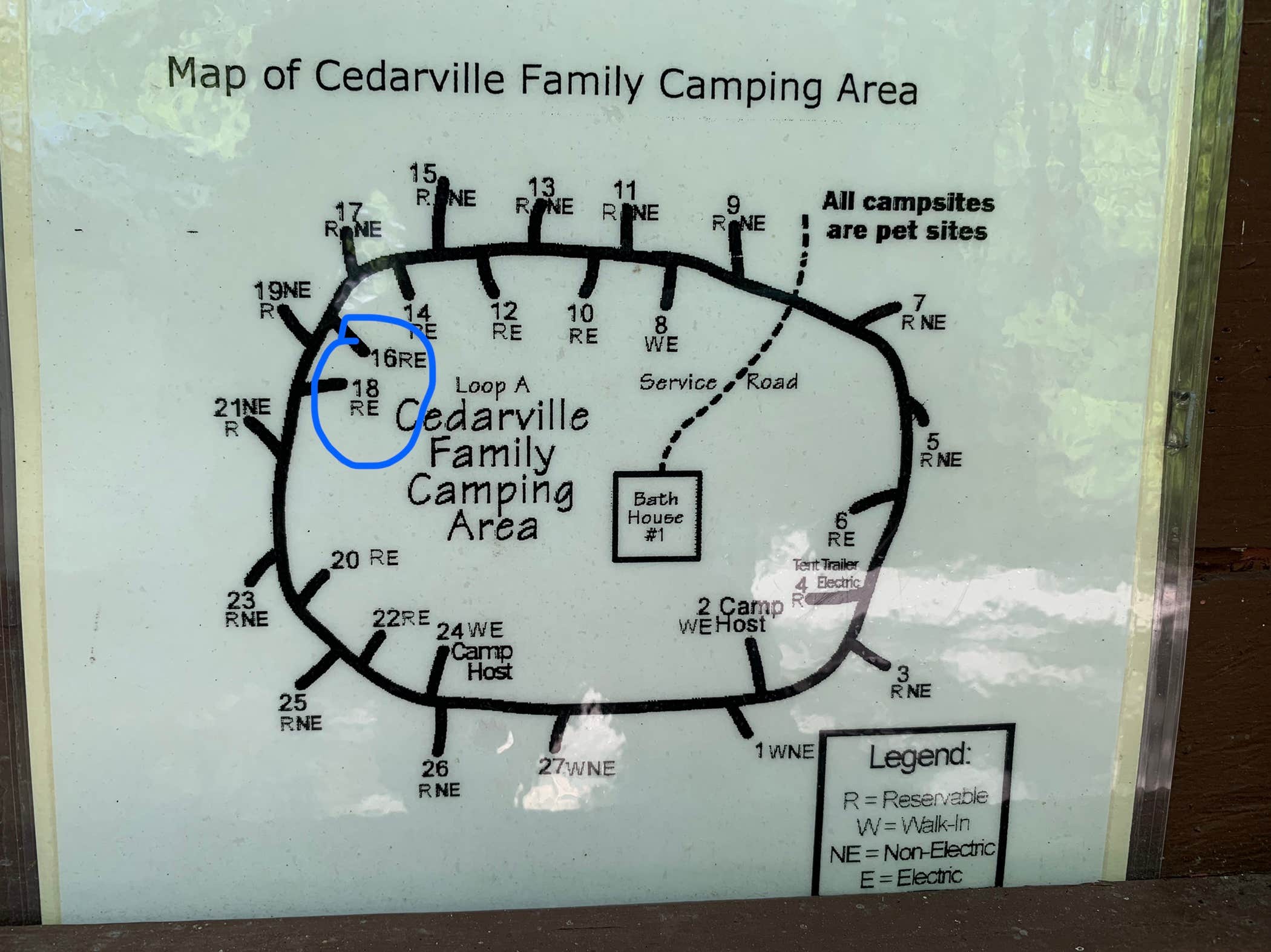Camper submitted image from Cedarville State Forest - 5