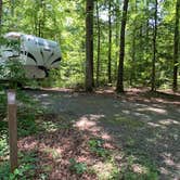 Review photo of Cedarville State Forest by Laure D., June 18, 2021