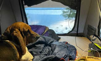 Brian N.'s photo of camping with pets at Drummond Island Township Park Campground in Michigan