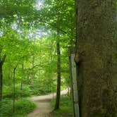 Review photo of Mammoth Cave Campground — Mammoth Cave National Park by Tucker B., June 18, 2021