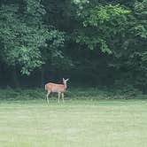 Review photo of Mammoth Cave Campground — Mammoth Cave National Park by Tucker B., June 18, 2021