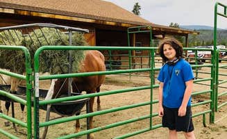Jason W.'s photo of camping with a horse at Winding River Resort near Westminster, CO