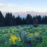 Review photo of Curtis Canyon Dispersed Camping by Lindsey G., June 18, 2021