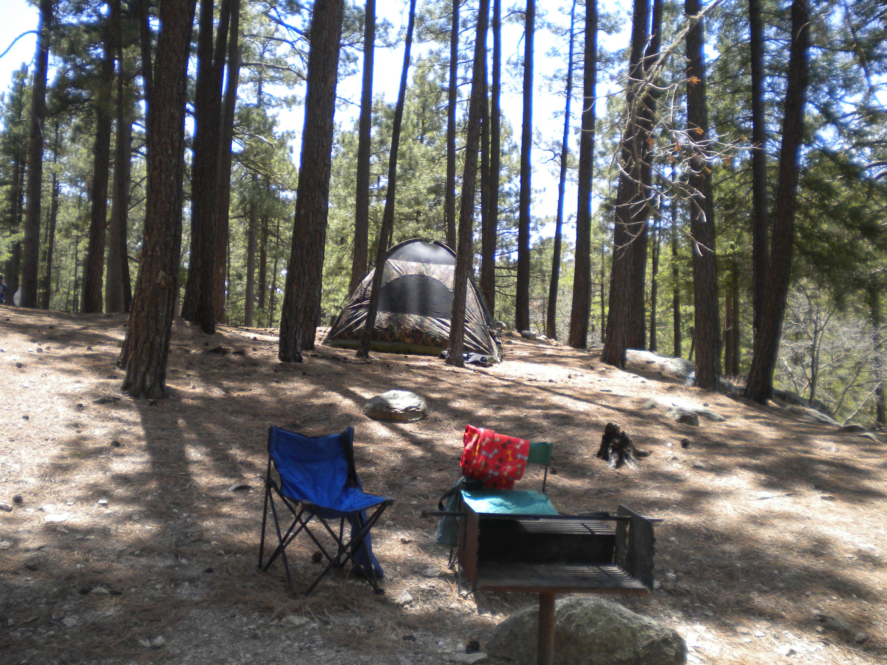 Camper submitted image from Spencer Canyon Campground - 2