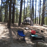 Review photo of Spencer Canyon Campground by Jamie P., May 13, 2015