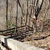 Review photo of Amicalola Falls State Park Camping by Bob M., June 18, 2021