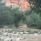 Review photo of Goose Island Campground by Jenny R., June 10, 2018