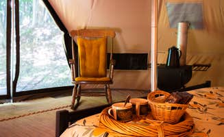 Samantha L.'s photo of tent camping at Cold Weather Camping in the Finger Lakes in New York