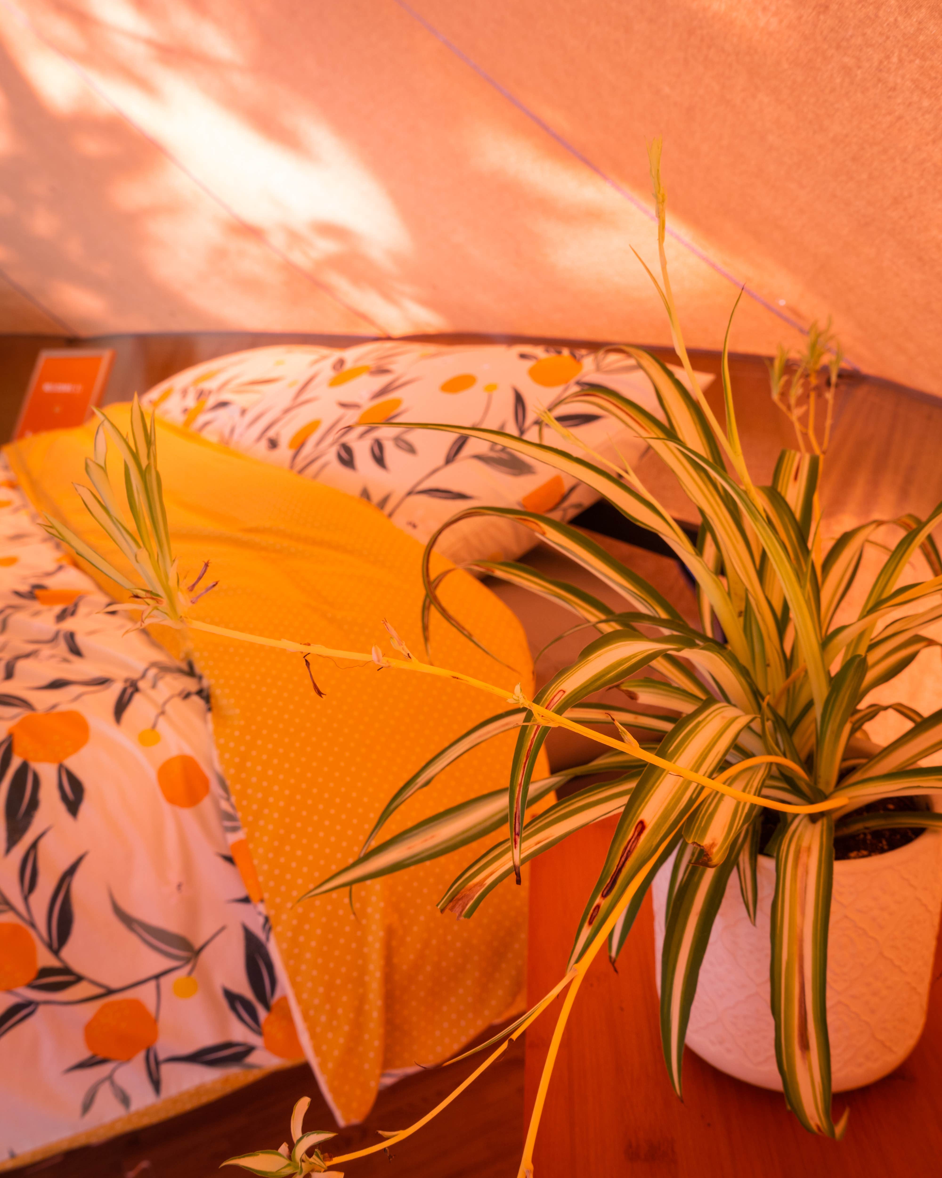 Camper-submitted photo at Cold Weather Camping in the Finger Lakes near Hunt, NY