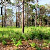 Review photo of Wekiwa Springs State Park Campground by Jeff R., June 19, 2021