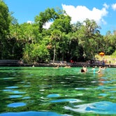 Review photo of Wekiwa Springs State Park Campground by Jeff R., June 19, 2021