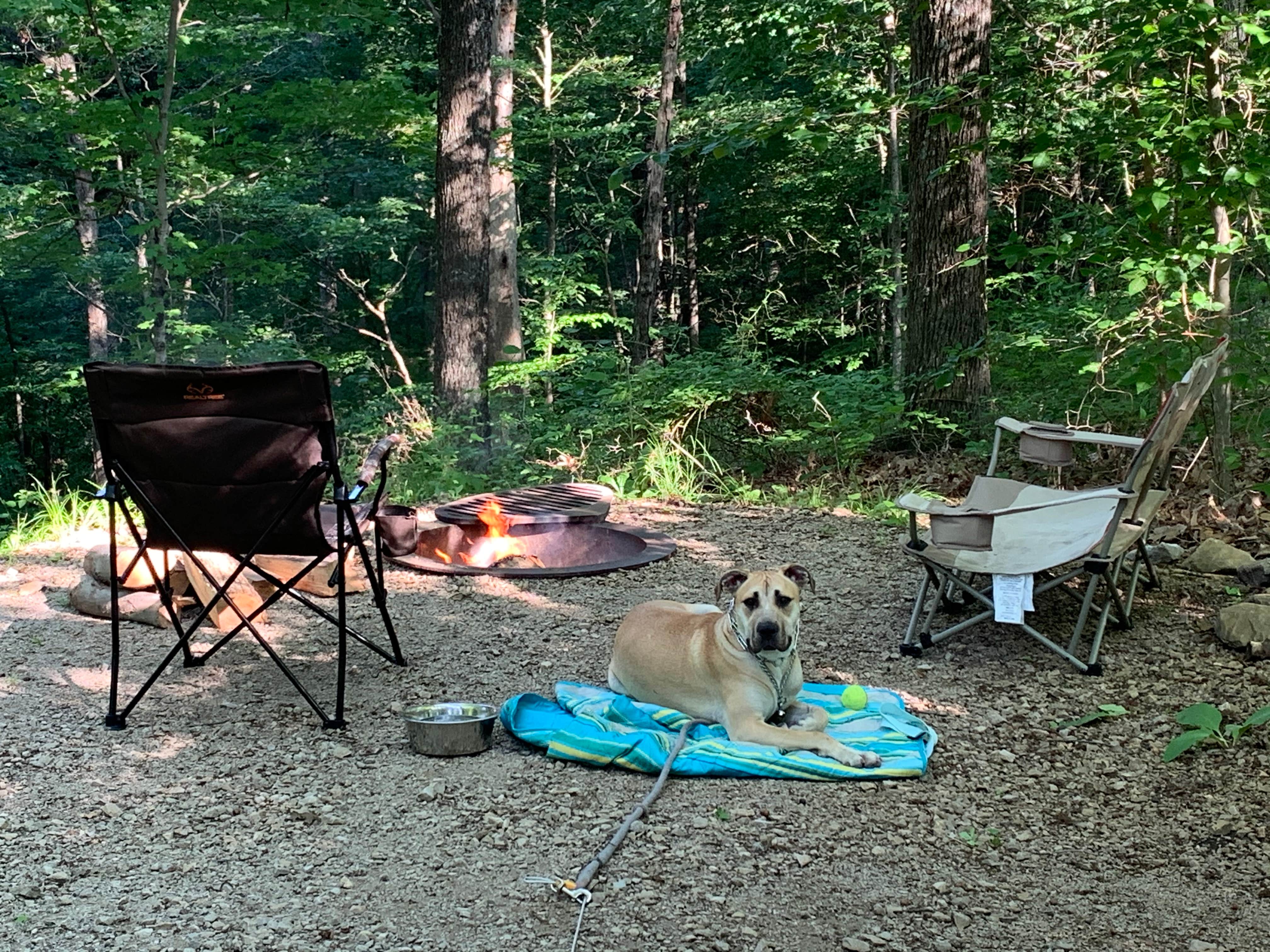 Kelsie E.'s photo at Hardin Ridge near Norman, IN