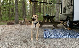 Kelsie E.'s photo of camping with pets at Starve Hollow State Rec Area Campground near Hoosier National Forest