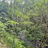 Review photo of Alsea Falls Recreation Site (campground) by Denny B., June 19, 2021