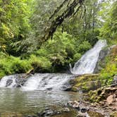 Review photo of Alsea Falls Recreation Site (campground) by Denny B., June 19, 2021