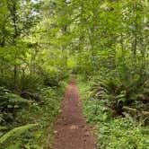 Review photo of Alsea Falls Recreation Site (campground) by Denny B., June 19, 2021