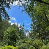 Review photo of Alsea Falls Recreation Site (campground) by Denny B., June 19, 2021