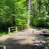 Review photo of Alsea Falls Recreation Site (campground) by Denny B., June 19, 2021