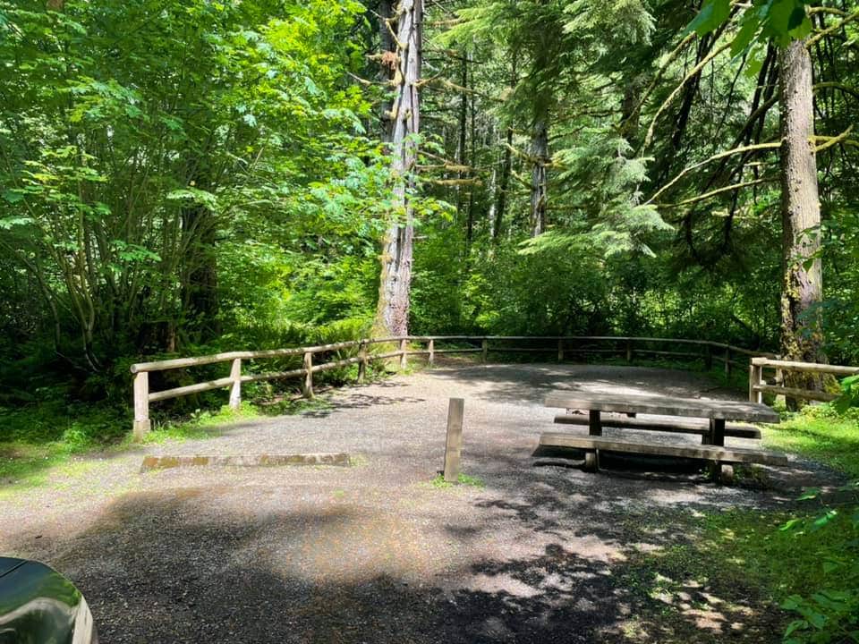 Camper submitted image from Alsea Falls Recreation Site (campground) - 3