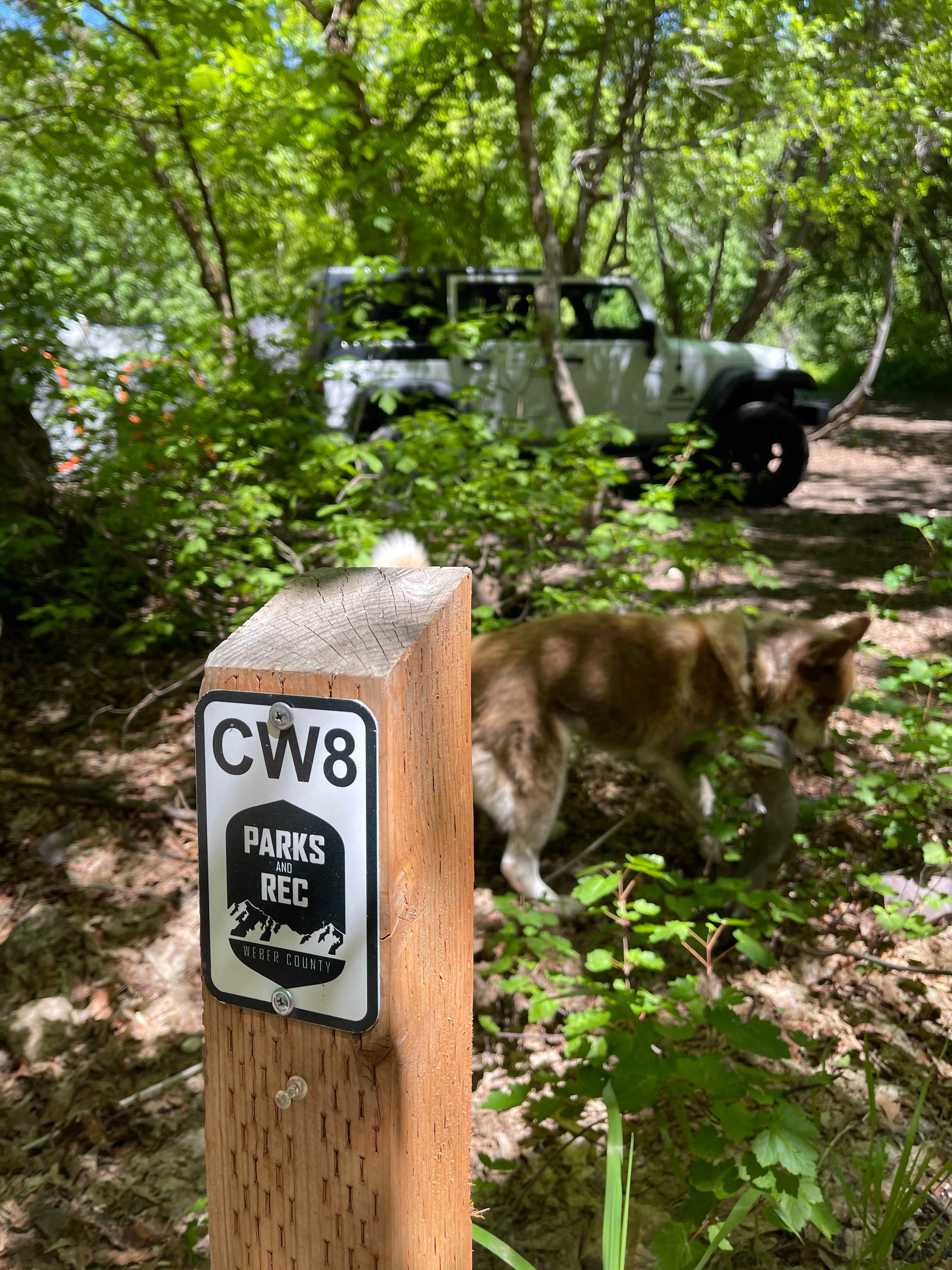 Fale L.'s photo of camping with pets at North Fork County Park near Hooper, UT