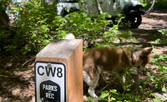 Fale L.'s photo of camping with pets at North Fork County Park near Hooper, UT