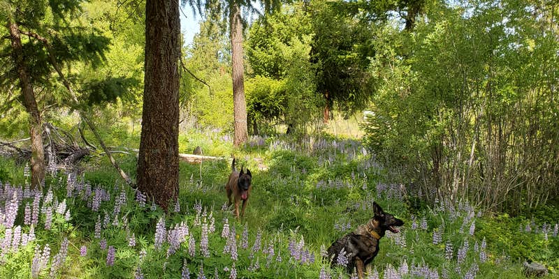 Camper submitted image from L.T. Murray Wildlife Area