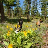 Review photo of L.T. Murray Wildlife Area by Pamela R., June 19, 2021