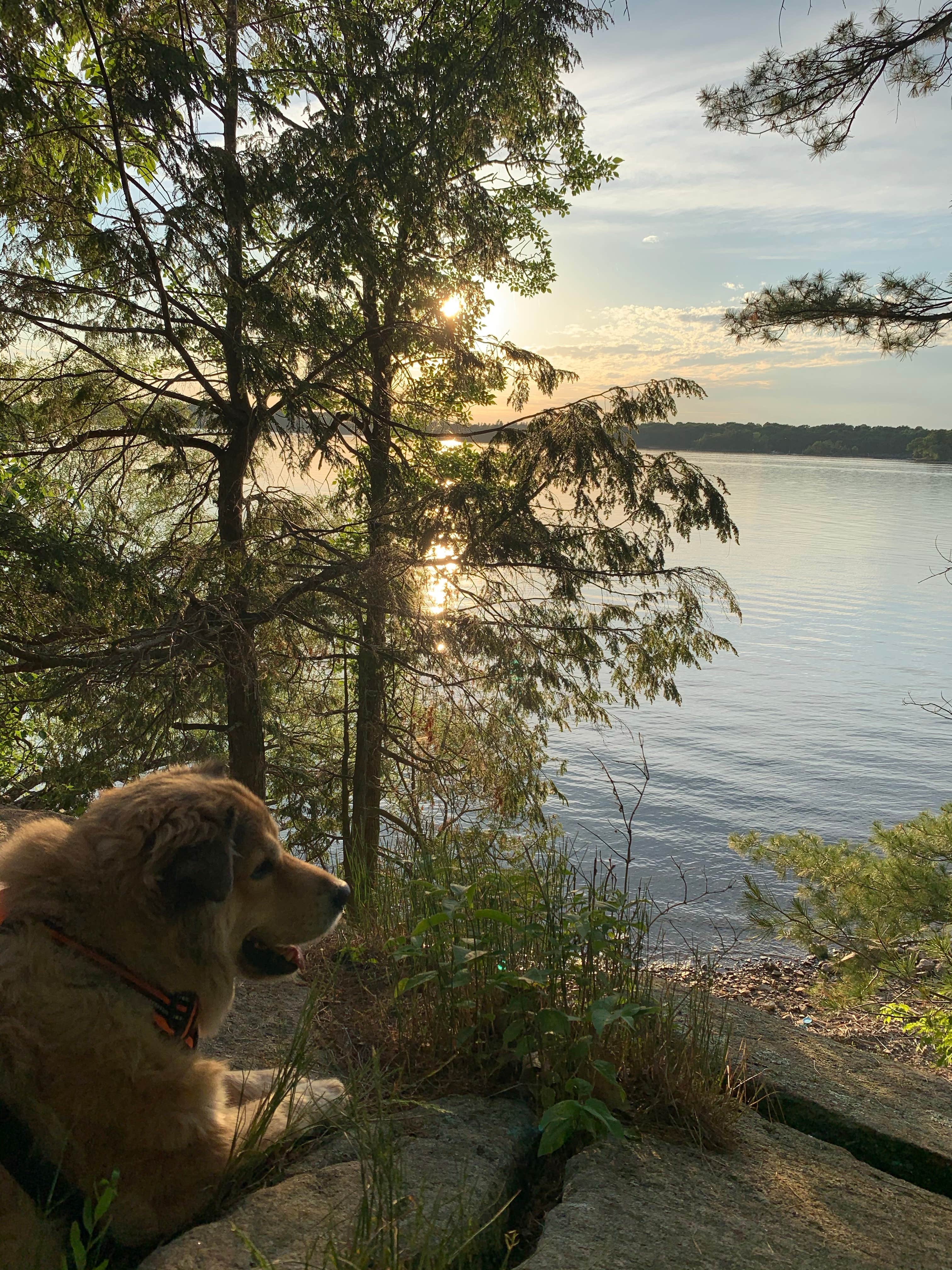 The Other Kim K.'s photo of camping with pets at Wellesley Island State Park Campground near Clayton, NY