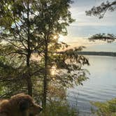 Review photo of Wellesley Island State Park Campground by The Other Kim K., June 19, 2021