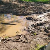 Review photo of Gordon Gulch Dispersed Area by Eliot T., June 19, 2021