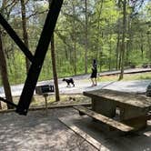 Review photo of Cedars of Lebanon State Park Campground by Dan D., June 19, 2021