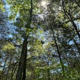 Review photo of Cedars of Lebanon State Park Campground by Dan D., June 19, 2021