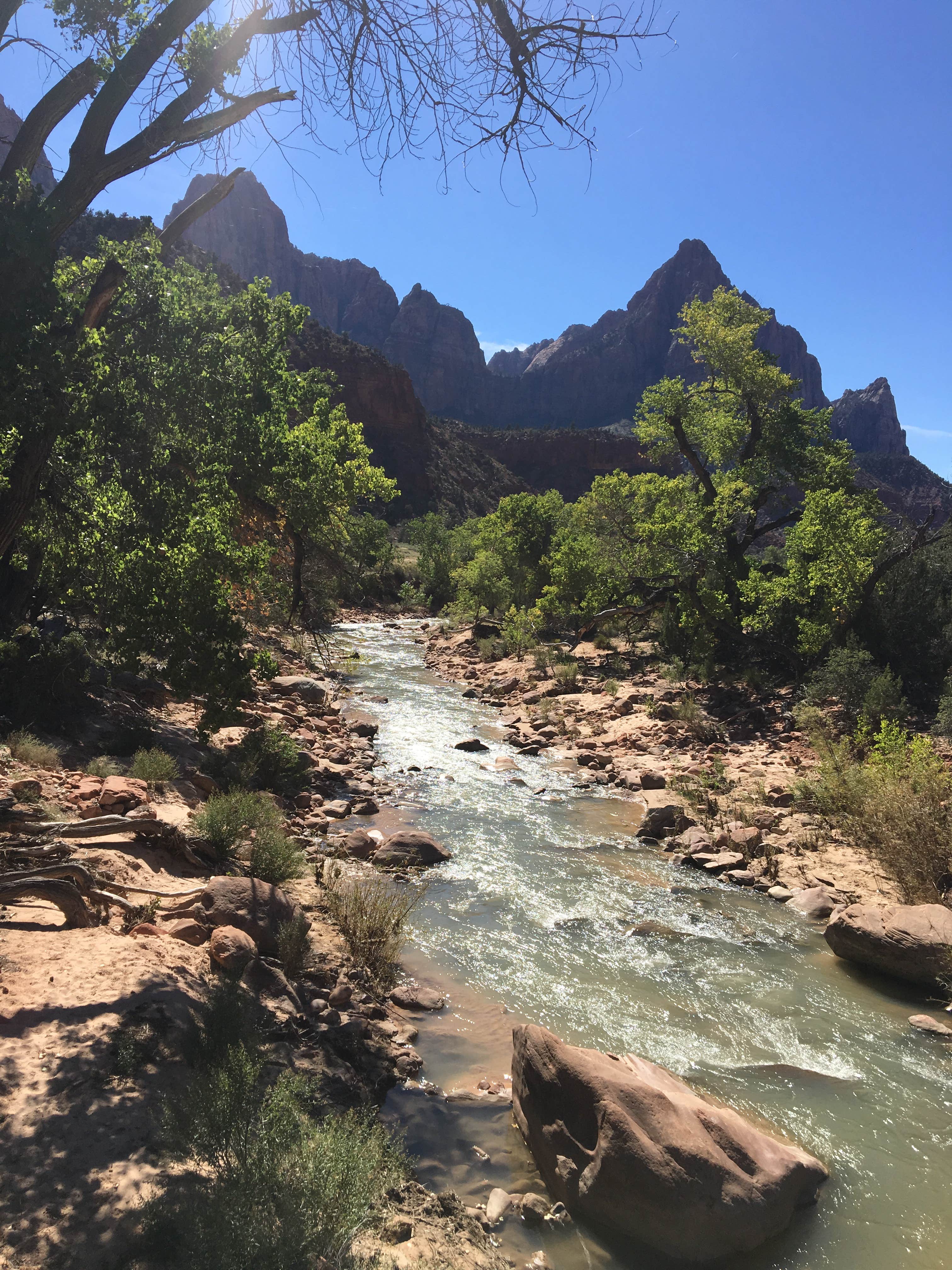 Camper-submitted photo at Zion Canyon Campground near Rockville, UT