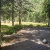 Review photo of Big Creek Campground (flathead National Forest, Mt) by James P., June 19, 2021