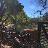 Review photo of Zion Canyon Campground by Marcy J., June 10, 2018