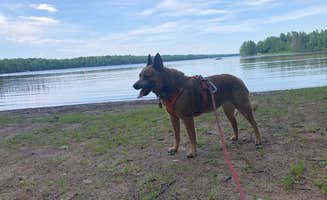 Art S.'s photo of camping with pets at Connors Lake Campground — Flambeau River State Forest in Wisconsin