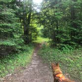 Review photo of Connors Lake Campground — Flambeau River State Forest by Art S., June 19, 2021