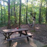 Review photo of Pickwick Landing State Park Campground by Audrey Y., June 19, 2021