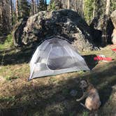 Review photo of Dispersed Camping--Mill Hollow/Utah FR054 by Jenny R., June 10, 2018